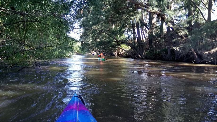 Lachlan river below Darbys falls bridge